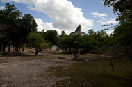 Mayan Temples at Hochob - hochob mayan ruins,hochob mayan temple,mayan temple pictures,mayan ruins photos